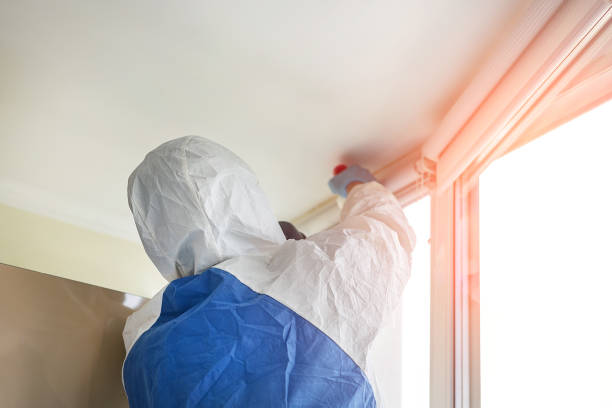 Best Residential Mold Inspection & Testing  in Huntley, IL