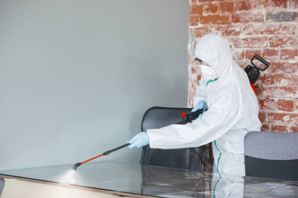 Best Dehumidification Services  in Huntley, IL