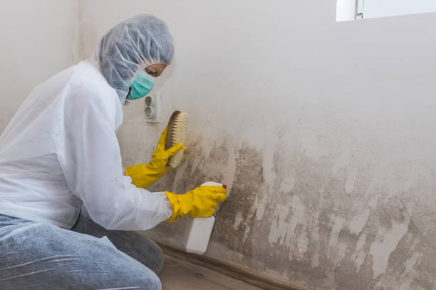 Best Commercial Mold Inspection  in Huntley, IL